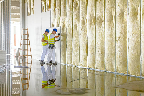 Best Energy Efficiency Insulation in Somerset, NJ
